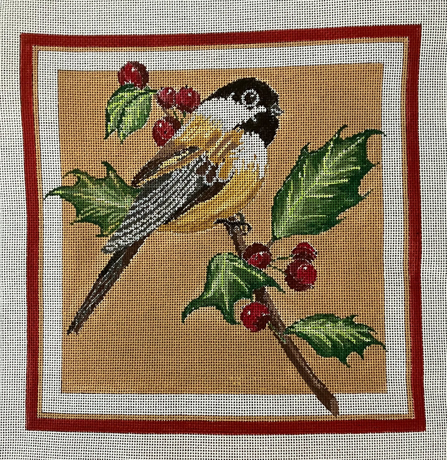 Carolina Chickadee