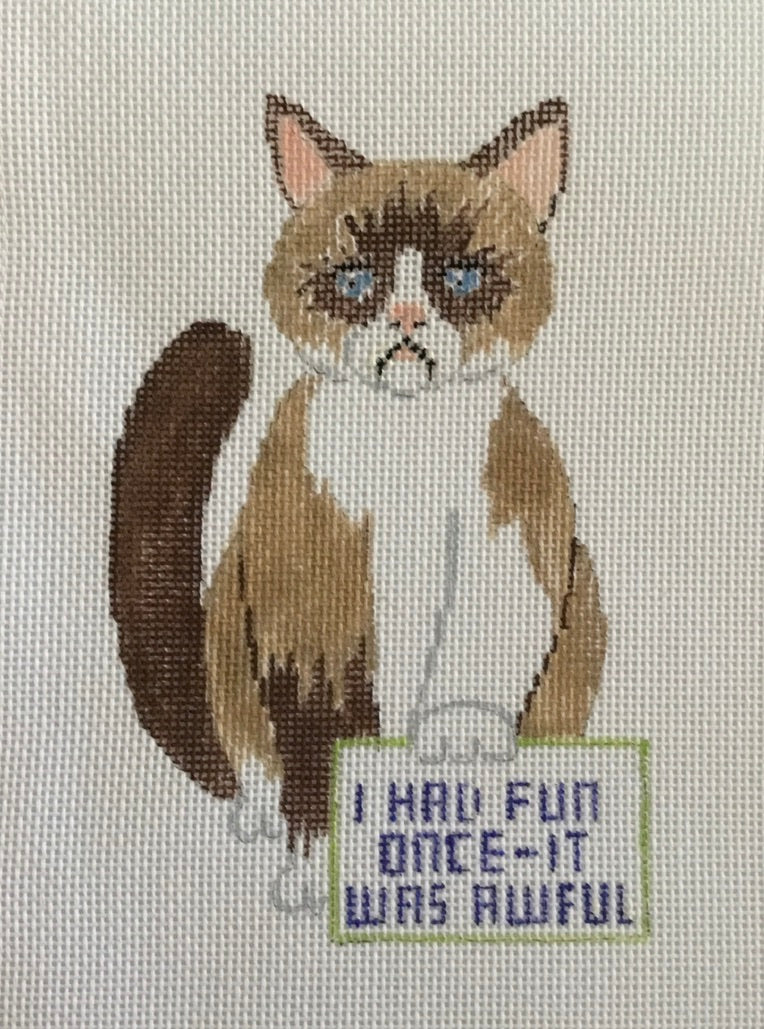 Disgruntled Cat