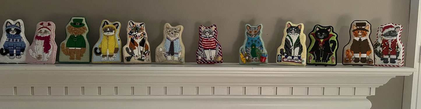 Cat of the month in one picture