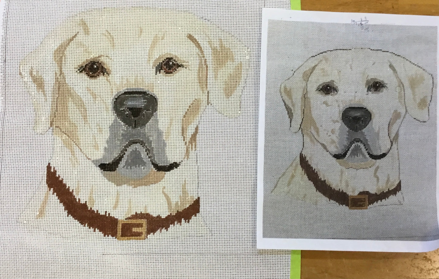 Custom White Labrador